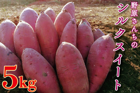 【2026年1月中旬より順次発送】野原さんちのシルクスイート 約5kg｜芋 さつまいも サツマイモ お芋 いも シルクスイート 期間限定 先行予約 茨城県 行方市(EL-3-1)