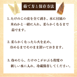 【2026年4月より順次発送】たけのこ 約2kg(米ぬか付き)|たけのこ タケノコ 筍 旬 米ぬか 堀りたて 先行予約 茨城県 行方市(CP-10)