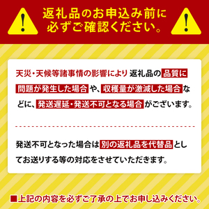 【2026年4月より順次発送】たけのこ 約2kg(米ぬか付き)|たけのこ タケノコ 筍 旬 米ぬか 堀りたて 先行予約 茨城県 行方市(CP-10)