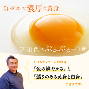 U-5 ◆6ヵ月定期便◆ 黄身がしっかり濃厚な卵【アスタの恵み】50個×6