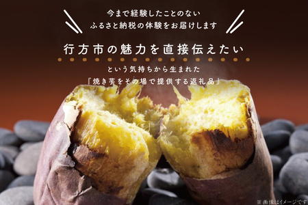 CU-99　【焼き芋体験】できたての焼き芋をその場で提供します！イベント行事・職場・学校・介護施設など、行方かんしょカーで出張サービス行います！