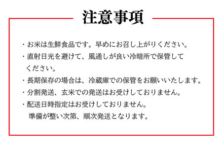 ET-5-1 【緊急支援！】【新米 先行予約受付開始】令和５年産 お米４種