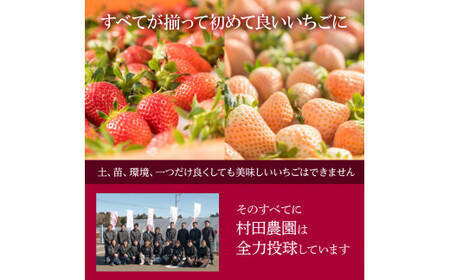 【3月発送】いちご 【 とちおとめ 】 1箱 （12～15粒） 村田さん家のいちご