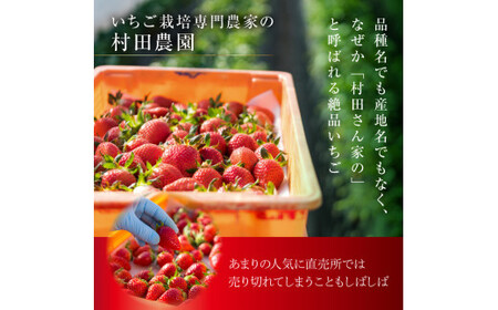 【1月発送】村田さん家のいちご【とちおとめ】1箱(12~15粒)
