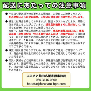 来年2026年5月出荷 メロン イバラキングメロン（ 優品 ）3～4個入 先行予約