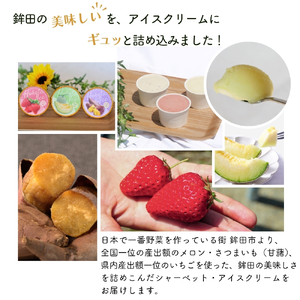 ほこたアイス ［ 焼き芋 ］ 6個セット アイスクリーム スイーツ スウィーツ ご当地スイーツ 焼きいも やきいも