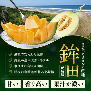 来年2026年先行予約！糖度抜群！奇跡のクインシーメロン（赤肉）3～5玉入り