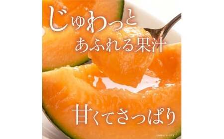 来年2026年先行予約！糖度抜群！奇跡のクインシーメロン（赤肉）2玉入り