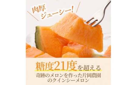 来年2026年先行予約！糖度抜群！奇跡のクインシーメロン（赤肉）2玉入り