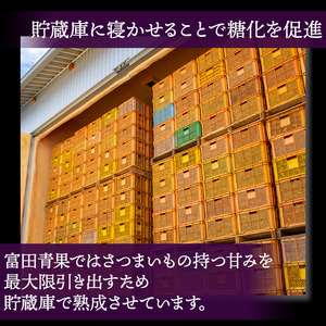 【12月~3月発送】さつまいも(紅はるか)S~Mサイズ 5kg
