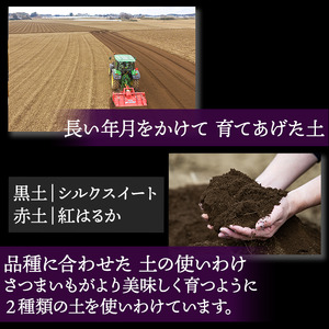 【12月~3月発送】さつまいも(紅はるか)S~Mサイズ 5kg