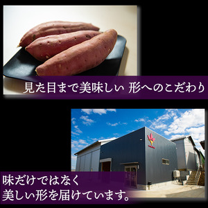 【12月~3月発送】さつまいも(紅はるか)S~Mサイズ 5kg