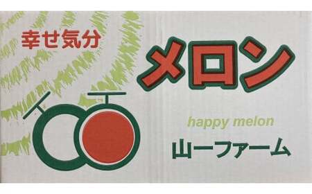 山一ファームの『イバラキングメロン』２個入り