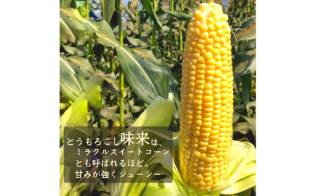 ひろ子のとうもろこし（味来）　約5kg／約13本前後入り　～2026年6月に発送～