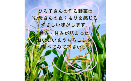 ひろ子のとうもろこし（味来）　約5kg／約13本前後入り　～2026年6月に発送～