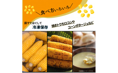 ひろ子のとうもろこし（味来）　約5kg／約13本前後入り　～2026年6月に発送～
