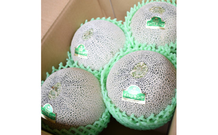 JAほこた なだろう イバラキング (2玉)