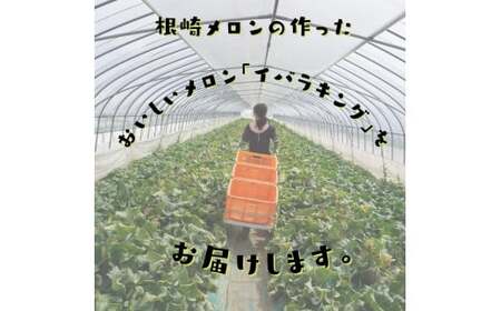 【訳あり】イバラキングメロン(大)2玉(約3kg以上)