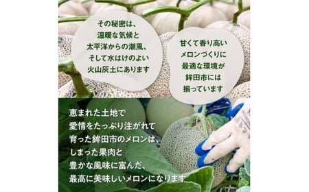 【訳あり】イバラキングメロン(大)2玉(約3kg以上)