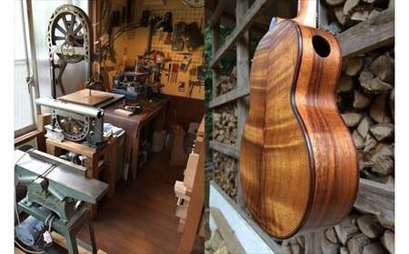 【ウクレレ】Crocodileモデル