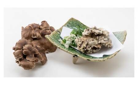 あわびたけ(170g×12パック)