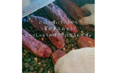 【冷凍】紅はるかのしっと～り焼き芋　500g×4袋　計2kg