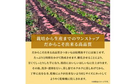 熟成 干し芋 1kg (100g×10袋) 紅はるか ほしいも 干しいも ほし芋 人気 お菓子 ランキング スイーツ 送料無料 日 取り寄せ おすすめ プレゼント ギフト 国産 母 父 敬老の日 選べる しっとり お土産 小分け 個包装 熟成 茨城 鉾田 農業組合法人 あさひ菜