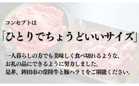 【超堪能！】常陸牛（300g）×豚ハラミ（350g）　一人焼肉セット