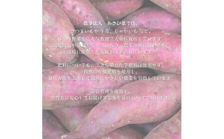 さつまいもチップ　1袋150g×12個入り　1箱