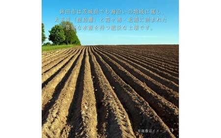 さつまいもチップ　1袋150g×12個入り　1箱