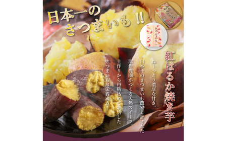 冷凍焼いも　1㎏