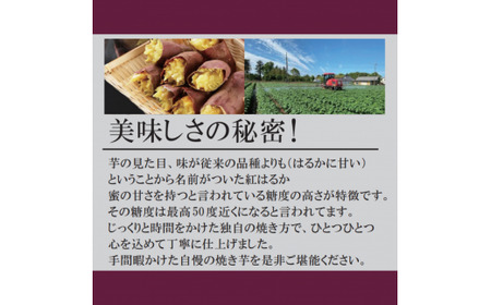 熟成冷凍焼き芋（紅はるか）