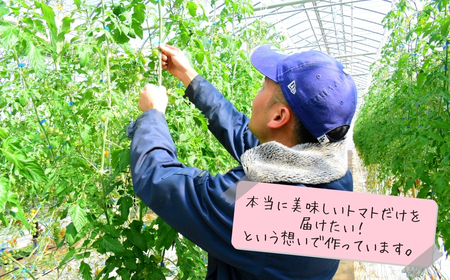 ミニトマト(プチぷよ) バラ詰め2.0kg【2月発送】