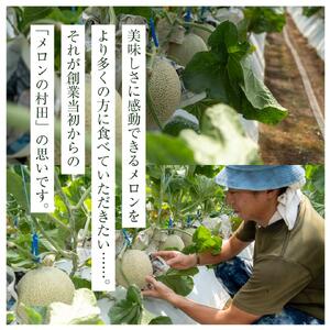 アールスメロン（2玉入り1箱）計4kg～4.5kg