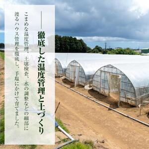 アールスメロン（2玉入り1箱）計4kg～4.5kg