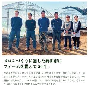 アールスメロン（2玉入り1箱）計4kg～4.5kg