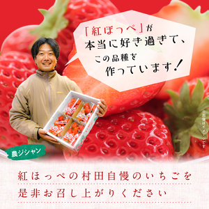 【3月発送】紅ほっぺ／270ag×4パック（4パック入り1箱）