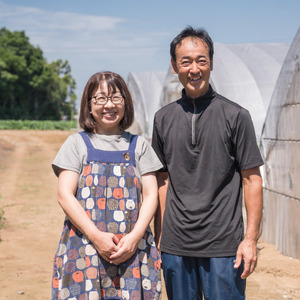 大玉スイカ（天竜）　1玉（6.5kg以上）