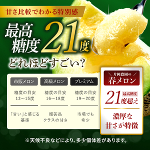 来年2026年先行予約！メロン めろん 最高糖度21度！奇跡の クインシーメロン 1玉 赤肉 人気 おすすめ クインシー 甘い 濃厚 高糖度 自家栽培 メロン 贈答用 贈り物 プレゼント 送料無料 片岡農園 クレストファーム 茨城県 鉾田市