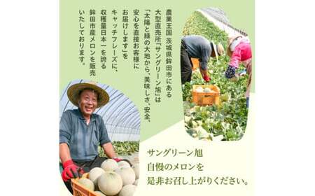 メロン めろん ＼光センサーで計測 糖度16度以上！／クインシー 【輝】2玉  茨城 鉾田 サングリーン旭 フルーツ 旬 プレゼント 人気 おすすめ 贈り物 甘い ヘルシースイーツ 産地直送 農業王国 赤肉 クインシーメロン 輝 特秀 赤 5月以降発送