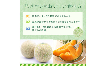 メロン めろん ＼光センサーで計測 糖度16度以上！／クインシー 【輝】2玉  茨城 鉾田 サングリーン旭 フルーツ 旬 プレゼント 人気 おすすめ 贈り物 甘い ヘルシースイーツ 産地直送 農業王国 赤肉 クインシーメロン 輝 特秀 赤 5月以降発送