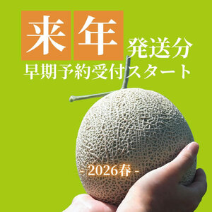 2026年先行予約【イバラキングメロン】＼生産量日本一！／茨城県鉾田市産 イバラキング メロン めろん 1.2kg以上×2玉｜方波見農園 《安心安全栽培》上品な甘さ 絶品 産地直送 青肉 高級 おすすめ 人気 BMW農法 ジューシー 旬 大きい 甘い 国産 フルーツ 果物 ギフト プレゼント 贈り物 