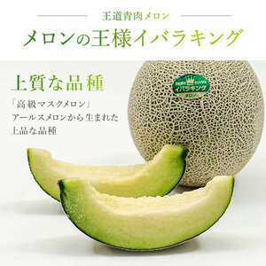 2026年先行予約【イバラキングメロン】＼生産量日本一！／茨城県鉾田市産 イバラキング メロン めろん 1.2kg以上×2玉｜方波見農園 《安心安全栽培》上品な甘さ 絶品 産地直送 青肉 高級 おすすめ 人気 BMW農法 ジューシー 旬 大きい 甘い 国産 フルーツ 果物 ギフト プレゼント 贈り物 