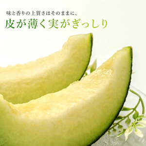 2026年先行予約【イバラキングメロン】＼生産量日本一！／茨城県鉾田市産 イバラキング メロン めろん 1.2kg以上×2玉｜方波見農園 《安心安全栽培》上品な甘さ 絶品 産地直送 青肉 高級 おすすめ 人気 BMW農法 ジューシー 旬 大きい 甘い 国産 フルーツ 果物 ギフト プレゼント 贈り物 