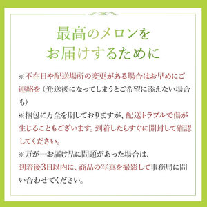 2026年先行予約【イバラキングメロン】＼生産量日本一！／茨城県鉾田市産 イバラキング メロン めろん 1.2kg以上×2玉｜方波見農園 《安心安全栽培》上品な甘さ 絶品 産地直送 青肉 高級 おすすめ 人気 BMW農法 ジューシー 旬 大きい 甘い 国産 フルーツ 果物 ギフト プレゼント 贈り物 