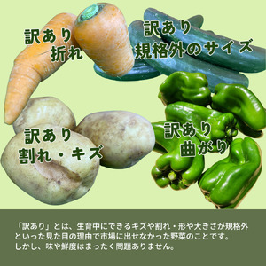 鉾田市旬のお野菜 訳あり（3kg）