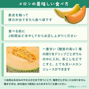 山一ファームの『クインシーメロン』1個入り