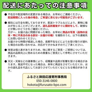 山一ファームの『イバラキングメロン』1個入り