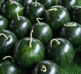 黒小玉スイカ（あんみつ姫）　2玉（2.5kg～3kg×2玉）