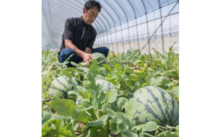 黒小玉スイカ（あんみつ姫）　2玉（2.5kg～3kg×2玉）